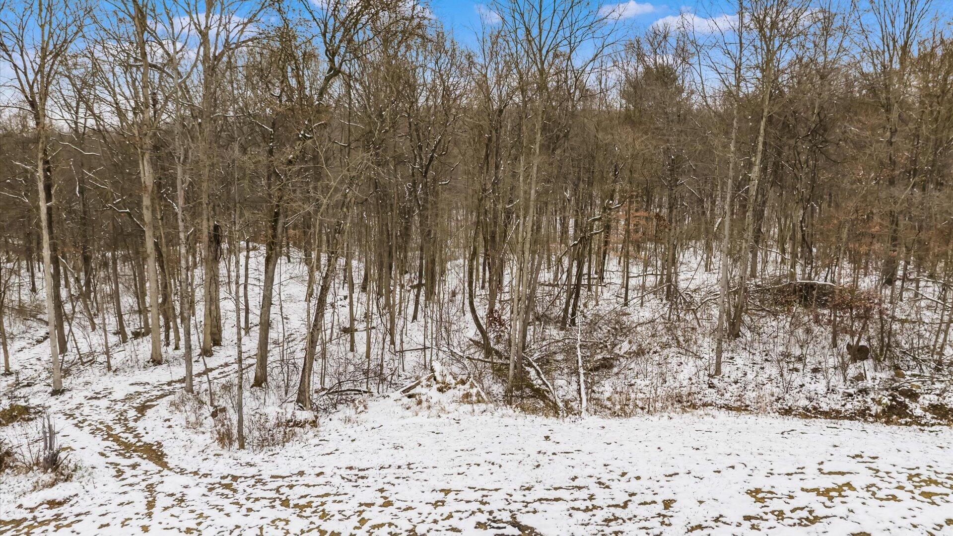 9141 Wesley Chapel Road Mount Perry, OH 43760 - Photo 19 of 46 13-z 9141 Wesley013