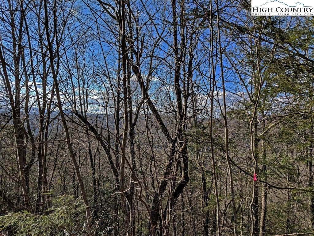 Tioga, Unit 312 Boone, NC 28607 - Photo 15 of 28 Gallery Image 15