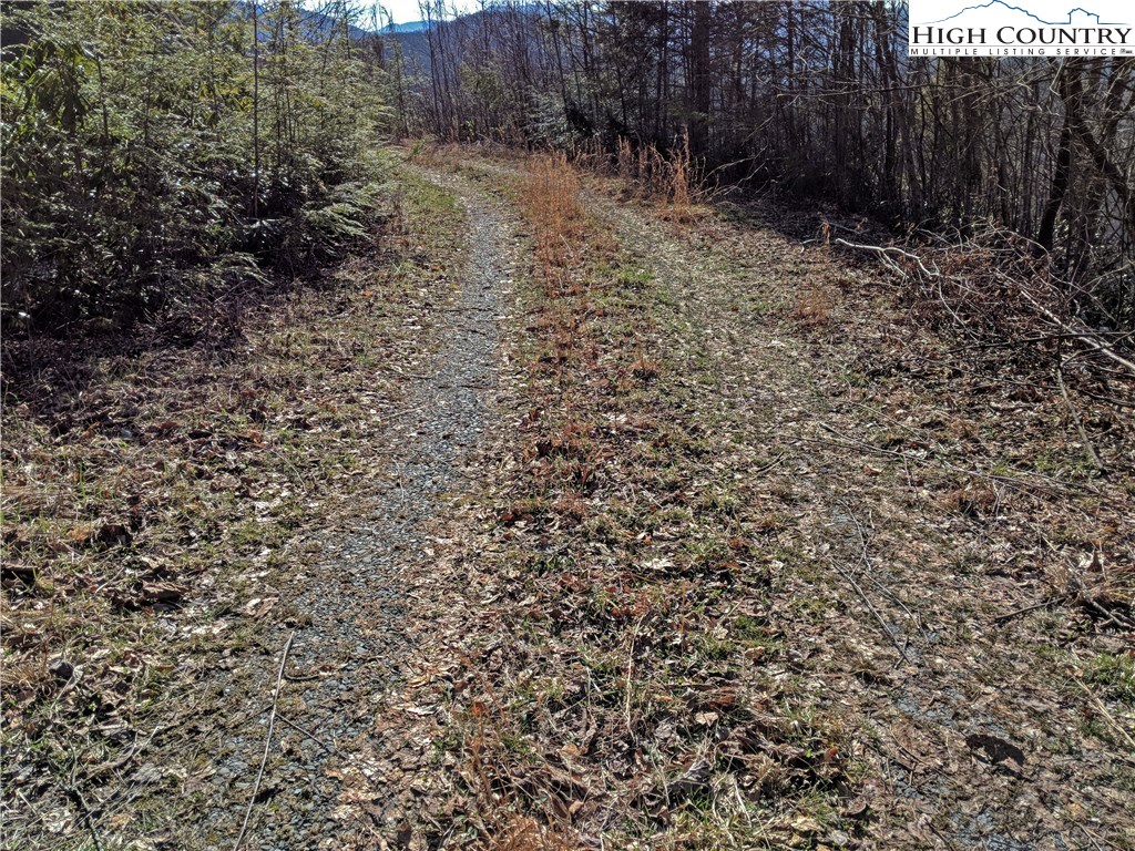 Tioga, Unit 312 Boone, NC 28607 - Photo 16 of 28 Gallery Image 16
