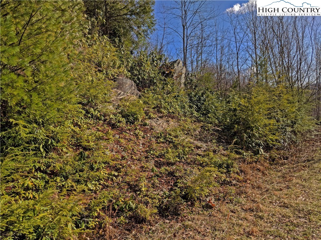 Tioga, Unit 312 Boone, NC 28607 - Photo 18 of 28 Gallery Image 18