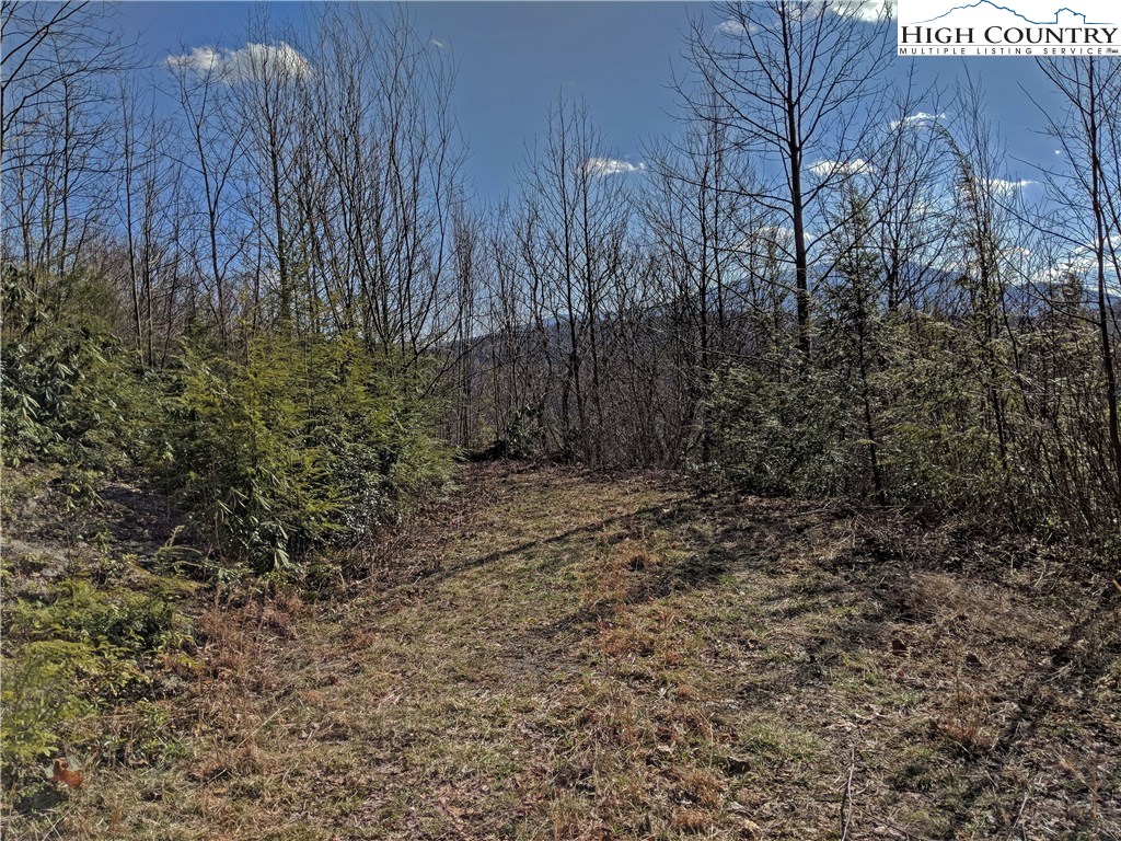 Tioga, Unit 312 Boone, NC 28607 - Photo 19 of 28 Gallery Image 19