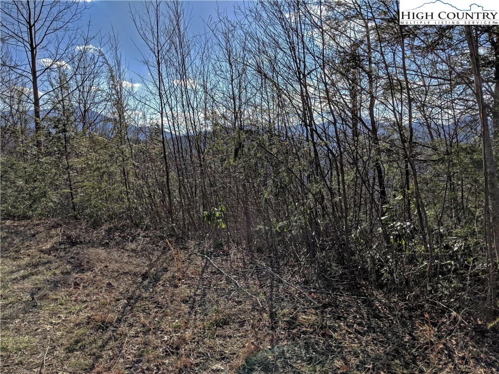 Tioga, Unit 312 Boone, NC 28607 - Photo 20 of 28 Gallery Image 20