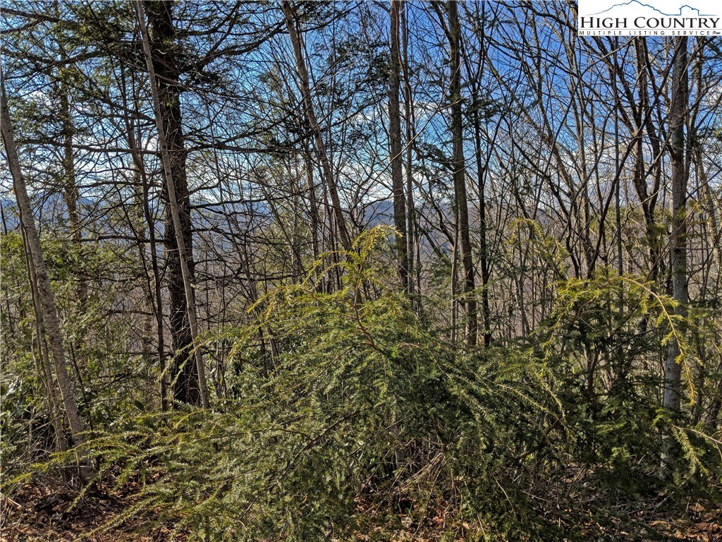 Tioga, Unit 312 Boone, NC 28607 - Photo 21 of 28 Gallery Image 21