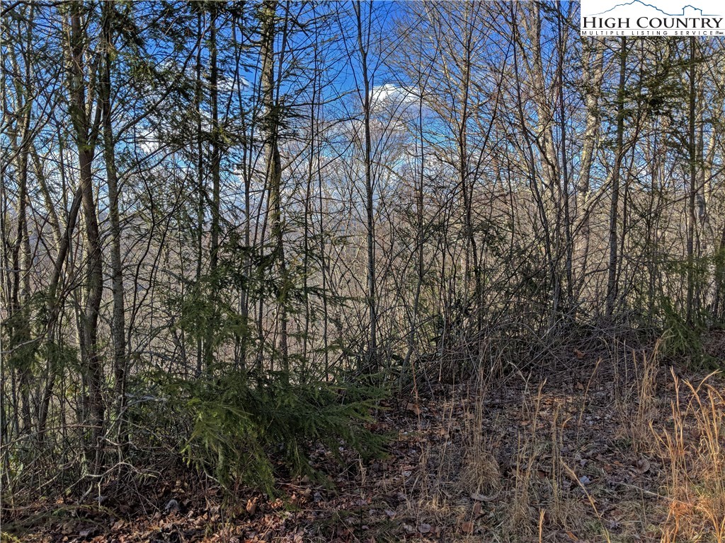 Tioga, Unit 312 Boone, NC 28607 - Photo 22 of 28 Gallery Image 22