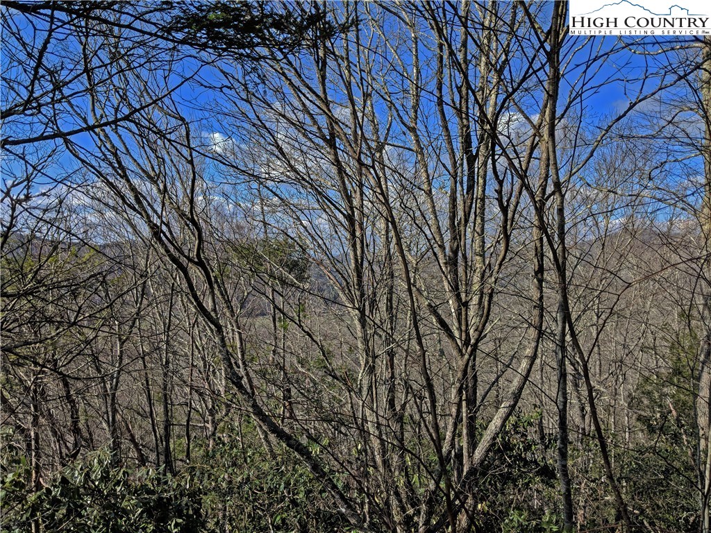 Tioga, Unit 312 Boone, NC 28607 - Photo 23 of 28 Gallery Image 23