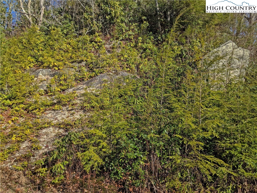 Tioga, Unit 312 Boone, NC 28607 - Photo 24 of 28 Gallery Image 24