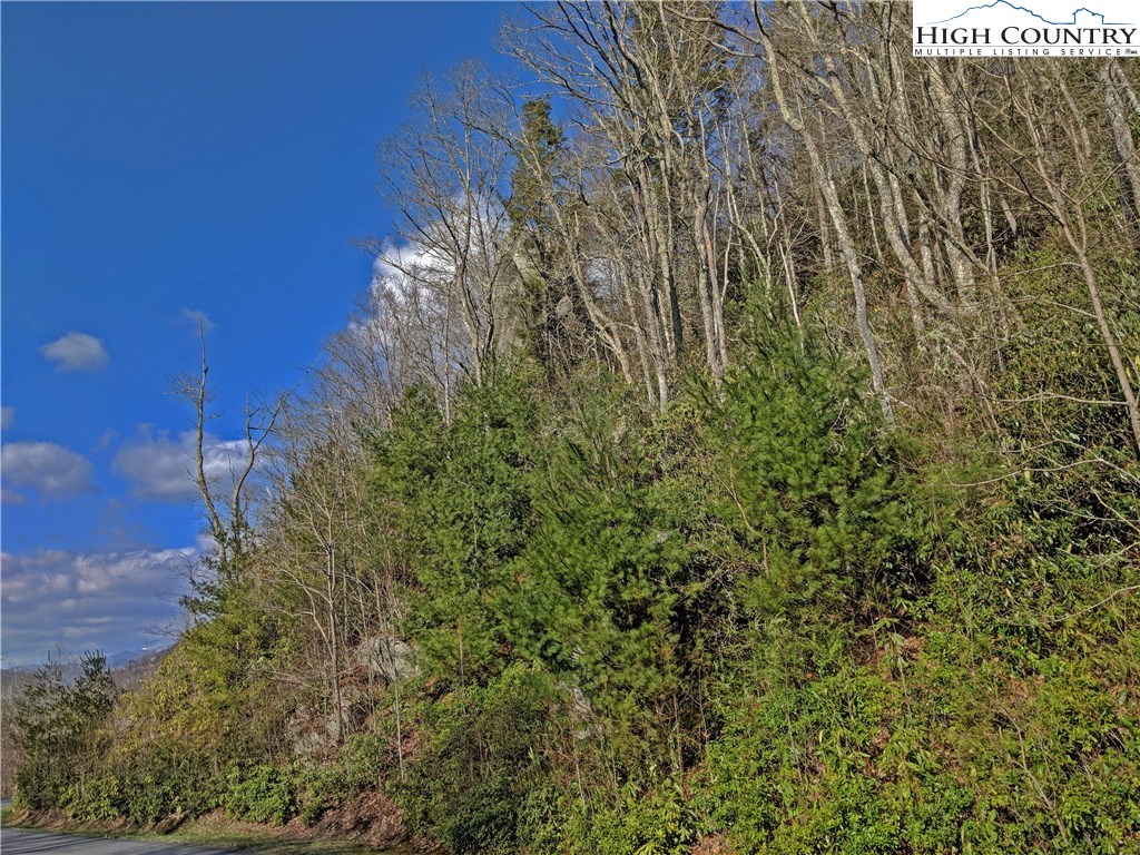 Tioga, Unit 312 Boone, NC 28607 - Photo 26 of 28 Gallery Image 26