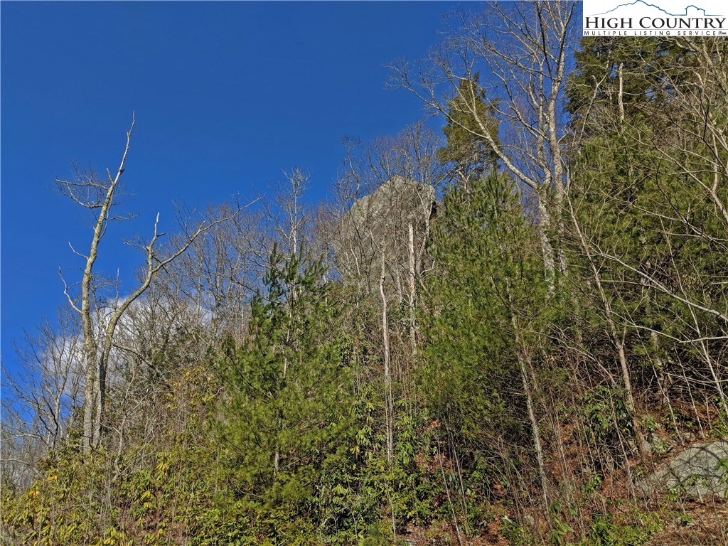 Tioga, Unit 312 Boone, NC 28607 - Photo 27 of 28 Gallery Image 27