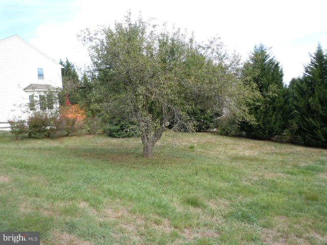 6201 Patuxent Quarter Road Hanover, MD 21076 - Photo 14 of 14 Exterior (Rear)