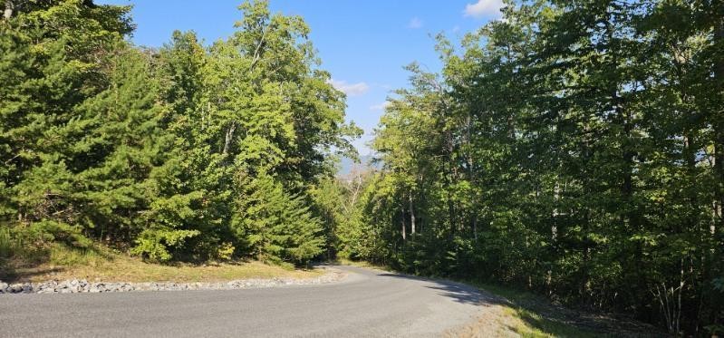 561 Bluff View Drive Dunlap, TN 37327 - Photo 7 of 14 a view of a yard with a tree