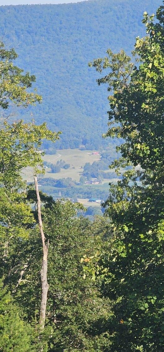561 Bluff View Drive Dunlap, TN 37327 - Photo 9 of 14 a view of a garden