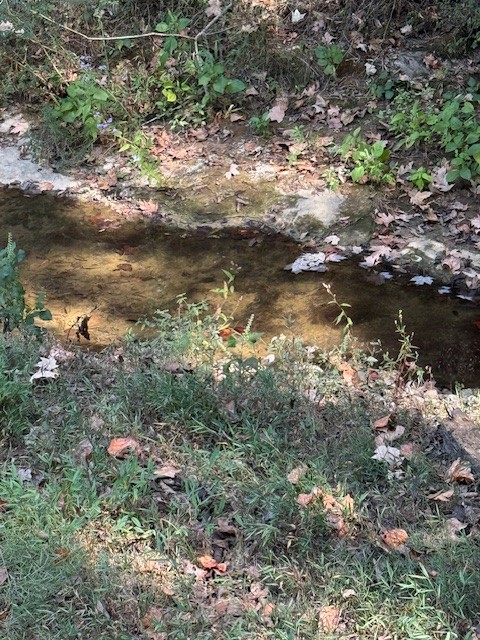 3103 Lipscomb Road Springfield, TN 37172 - Photo 13 of 30 a view of lake with green space