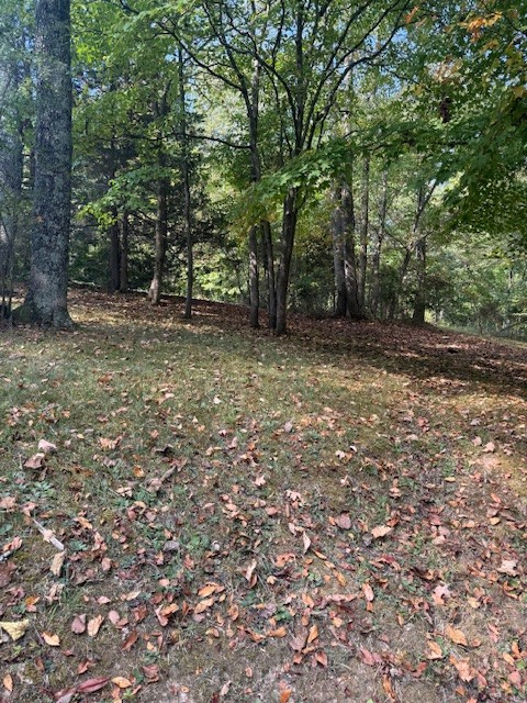 3103 Lipscomb Road Springfield, TN 37172 - Photo 5 of 30 a view of a yard with a tree