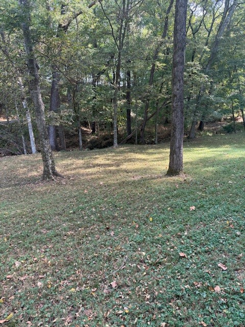 3103 Lipscomb Road Springfield, TN 37172 - Photo 7 of 30 a view of a trees with a yard