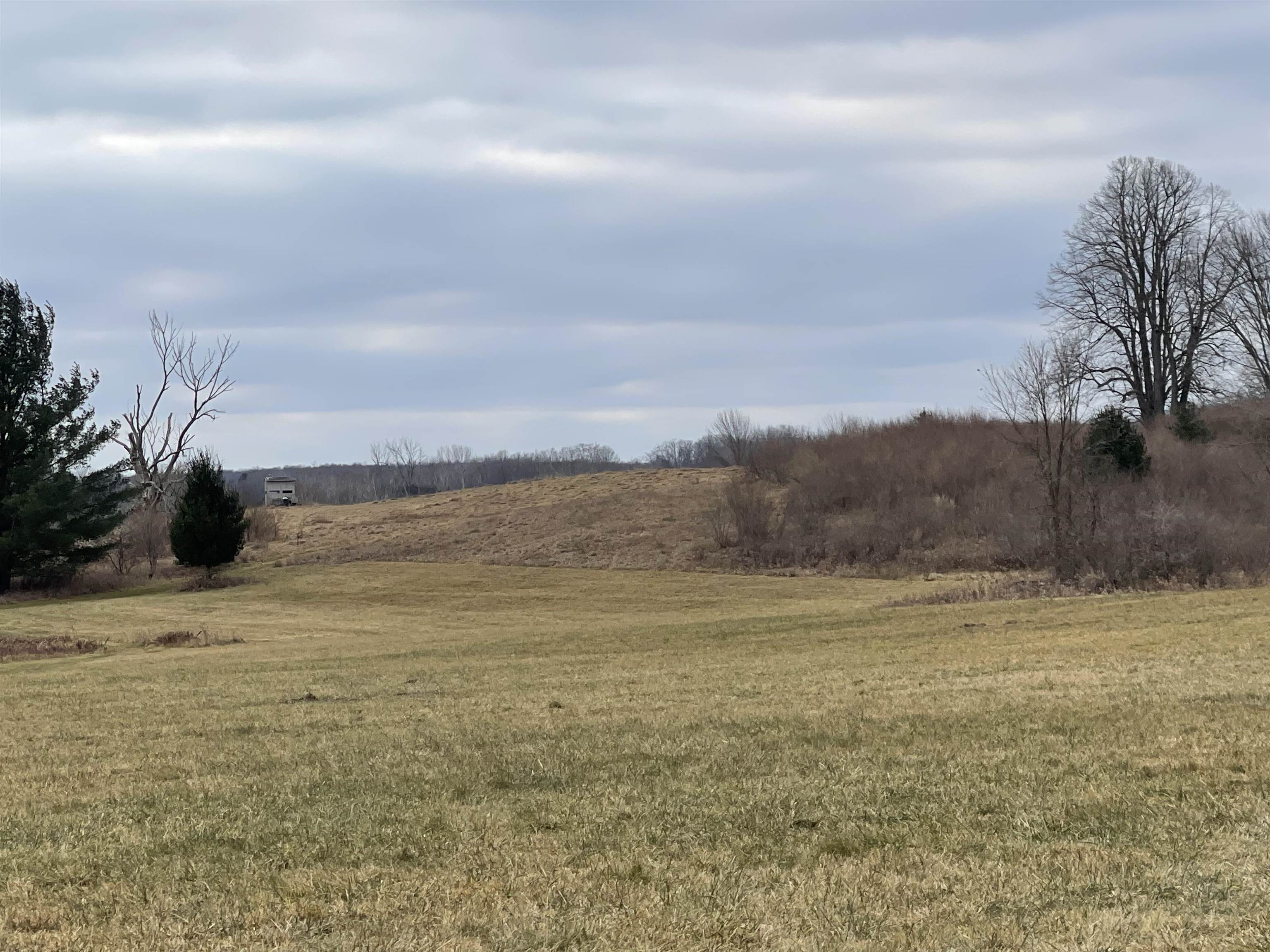 Four 4 Mile Road Evart, MI 49631 - Photo 6 of 38