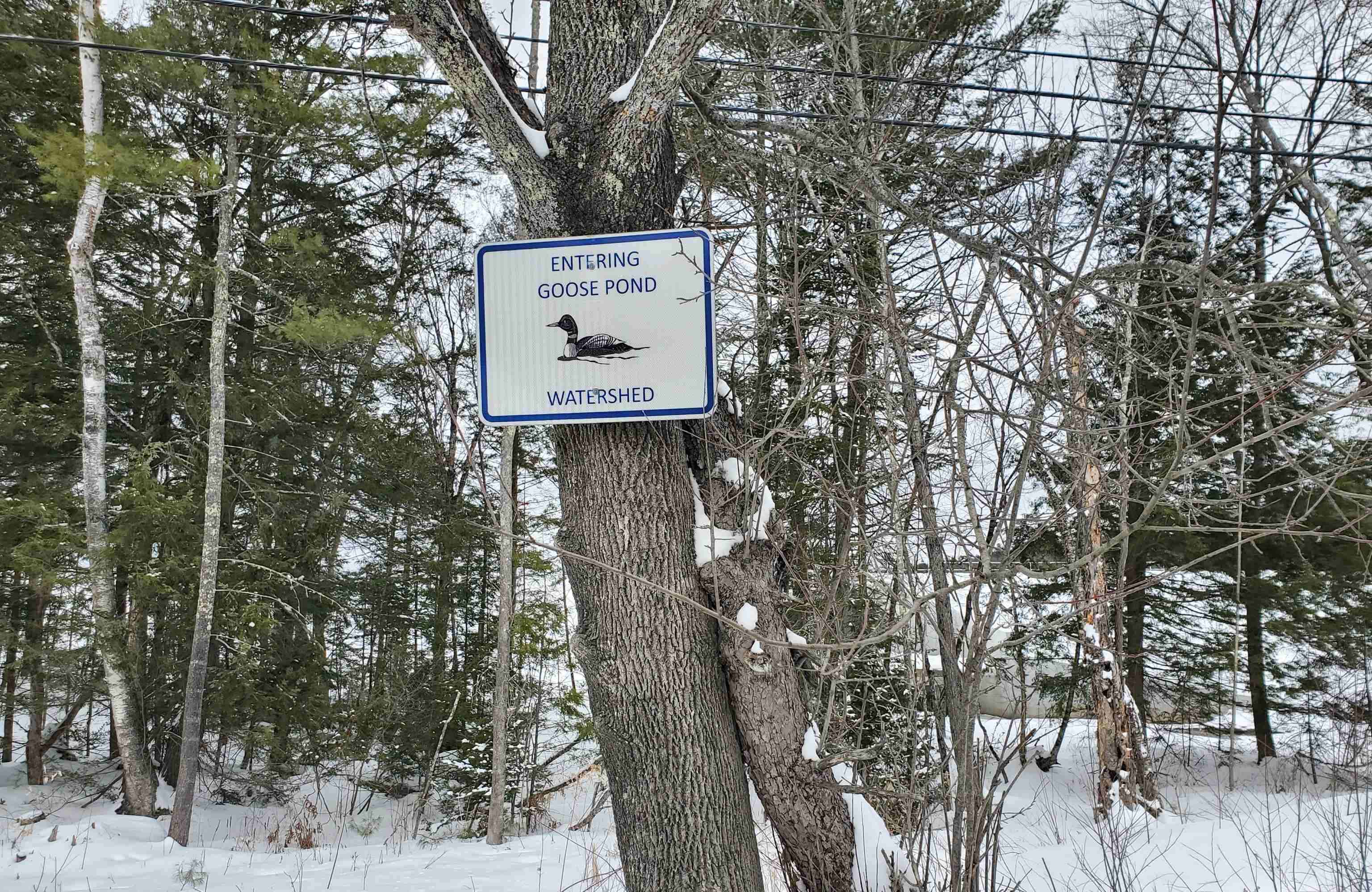 13 Kilton Road Canaan, NH 03741 - Photo 48 of 50