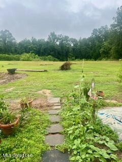 152 Bexley Road Lucedale, MS 39452 - Photo 13 of 14 View From Back Porch