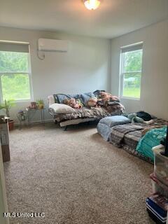 152 Bexley Road Lucedale, MS 39452 - Photo 4 of 16 Bedroom 1