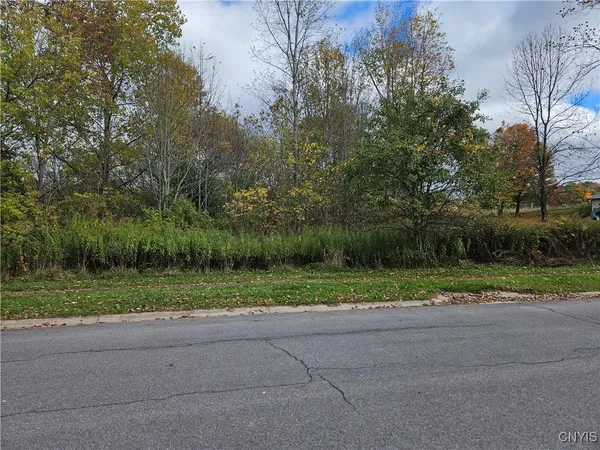 $29,500 | Salmon Meadow Lane, Pulaski, NY 13142