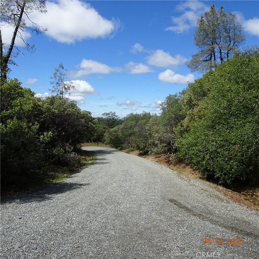 0 Powell Ridge Road Oroville, CA 95966 - Photo 9 of 9