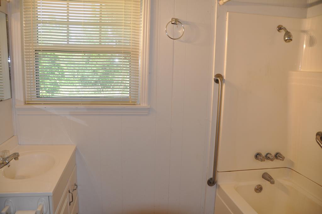 910 Holley Mill Road Samson, AL 36477 - Photo 21 of 58 Hall Bathroom