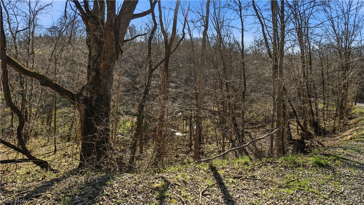 65892 Endley Road Cambridge, OH 43725 - Photo 49 of 50 View of tree filled area