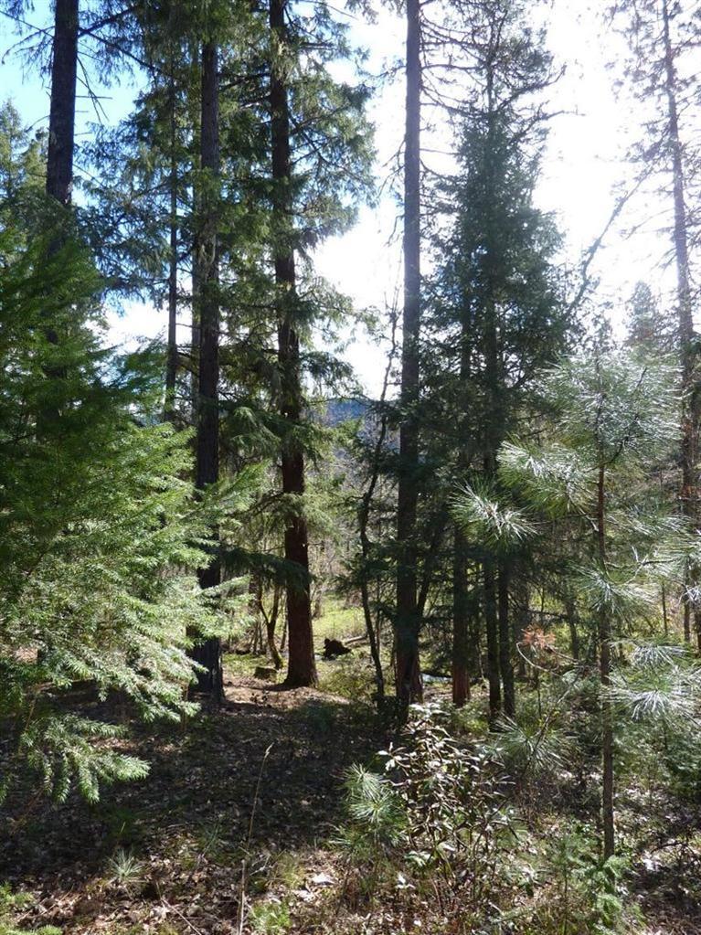 776 Mather Road Prospect, OR 97536 - Photo 10 of 18 Additional Photo