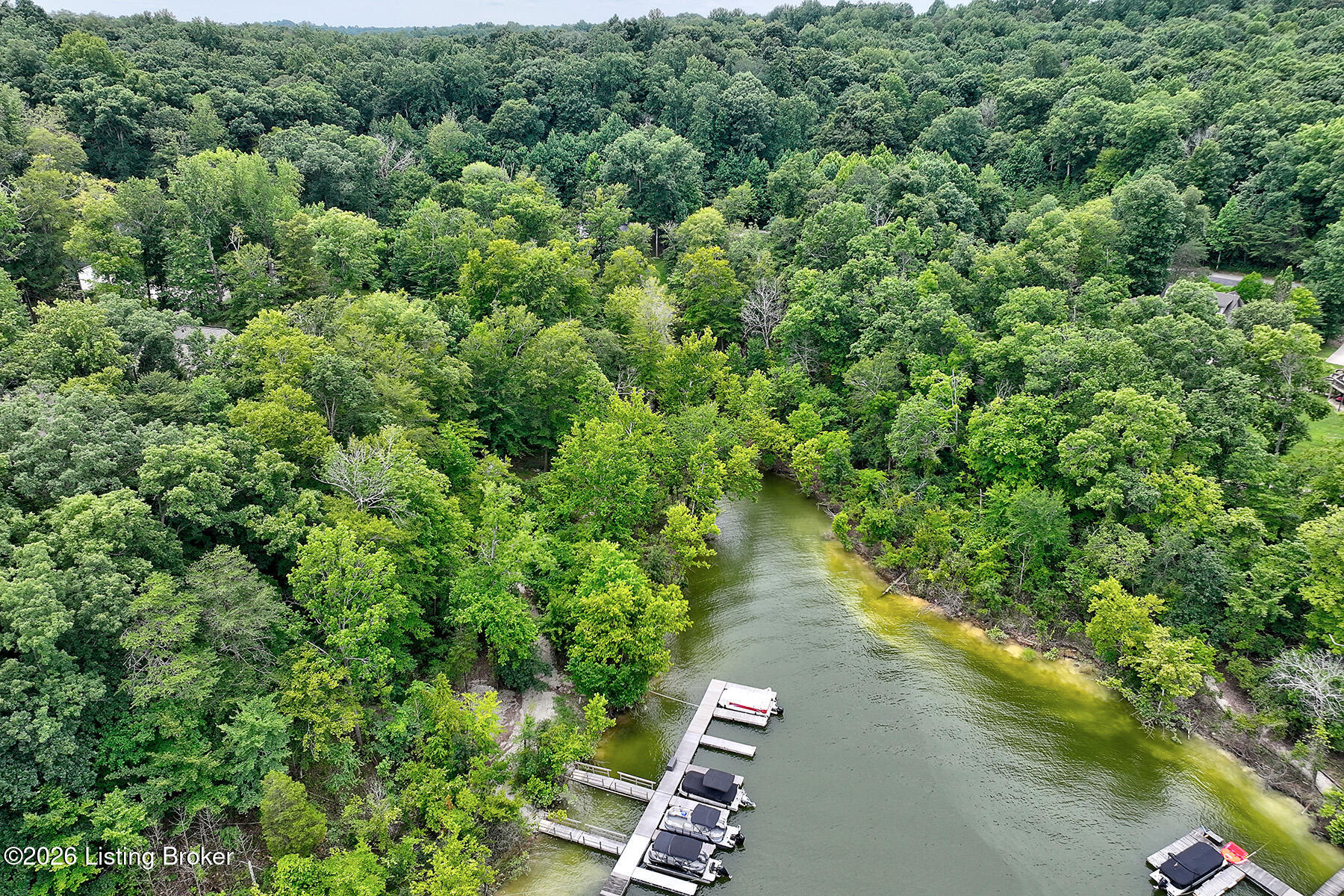 593 Lochober Road Leitchfield, KY 42754 - Photo 62 of 67 Lochober BY C W Davis 0054