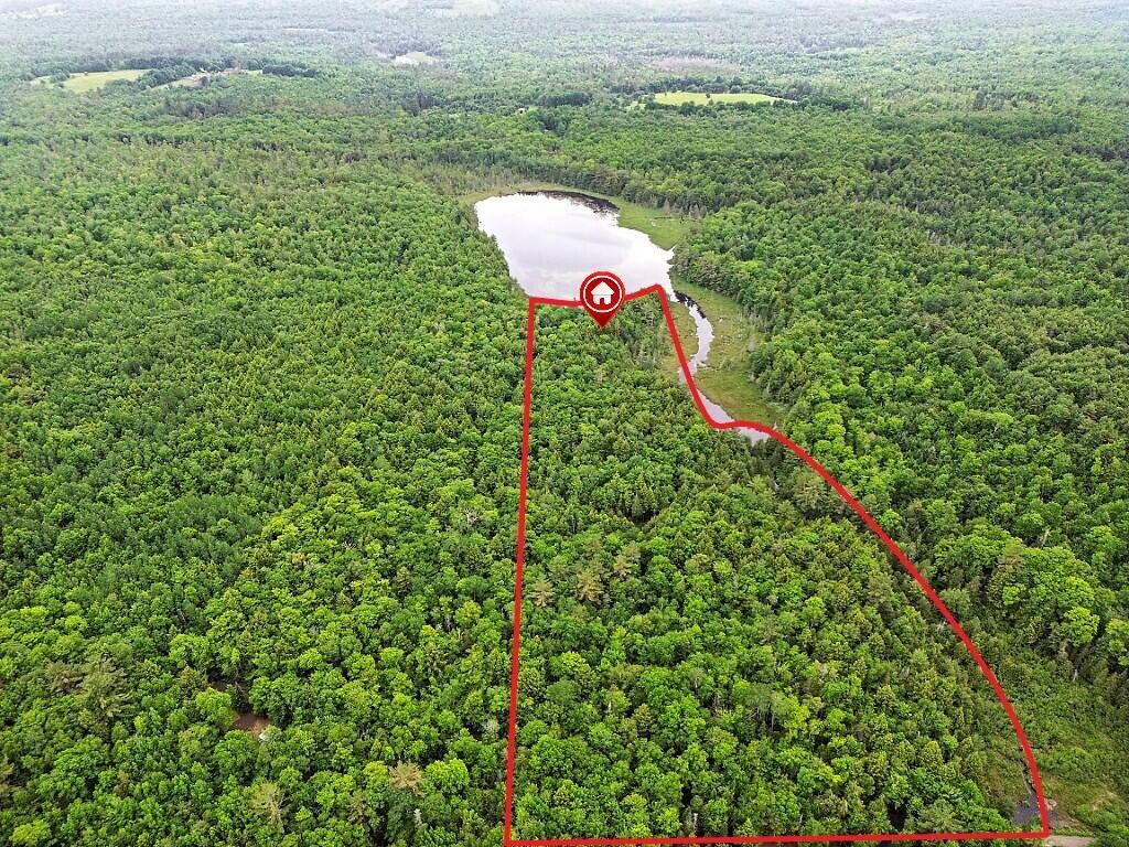 16 Judkins Road Harmony, ME 04942 - Photo 59 of 65 69_DJI_0287_DxO1