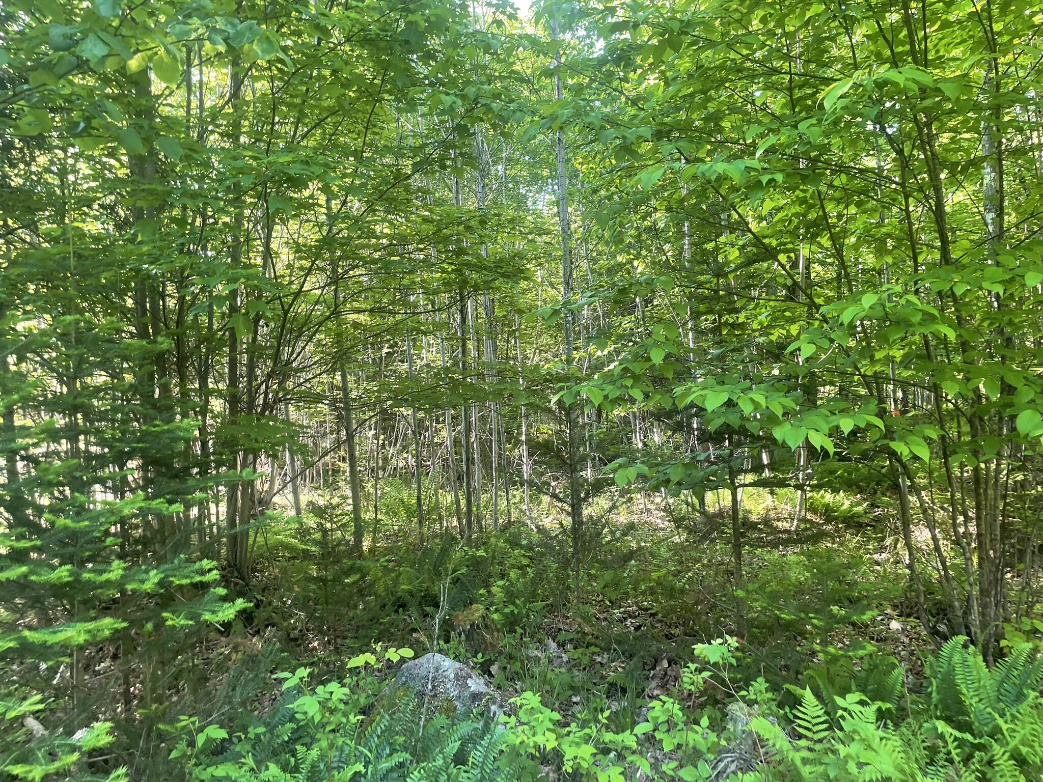 0 Macomber Road Readfield, ME 04355 - Photo 56 of 61 IMG_5692