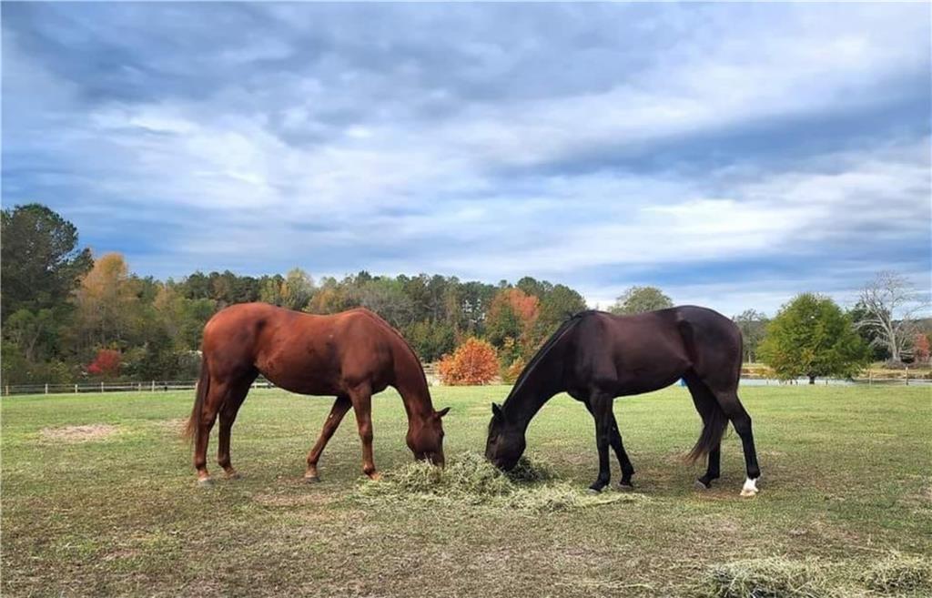 947 Bellhouse Road Macon, GA 31217 - Photo 104 of 132