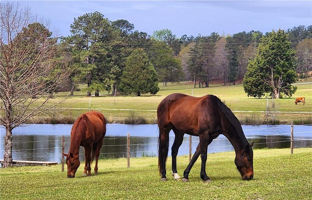 947 Bellhouse Road Macon, GA 31217 - Photo 105 of 132