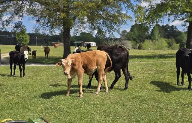 $1,400,000 | 947 Bellhouse Road, Macon, GA 31217