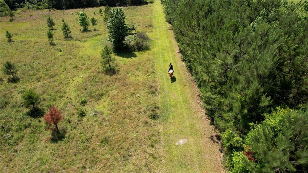 947 Bellhouse Road Macon, GA 31217 - Photo 121 of 132 a bathroom with a small yard and green space