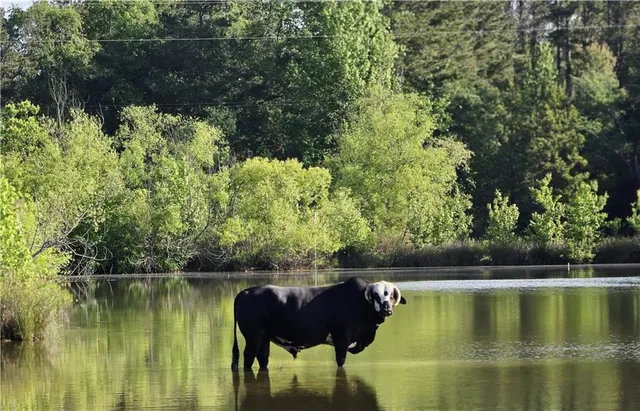 $1,400,000 | 947 Bellhouse Road, Macon, GA 31217