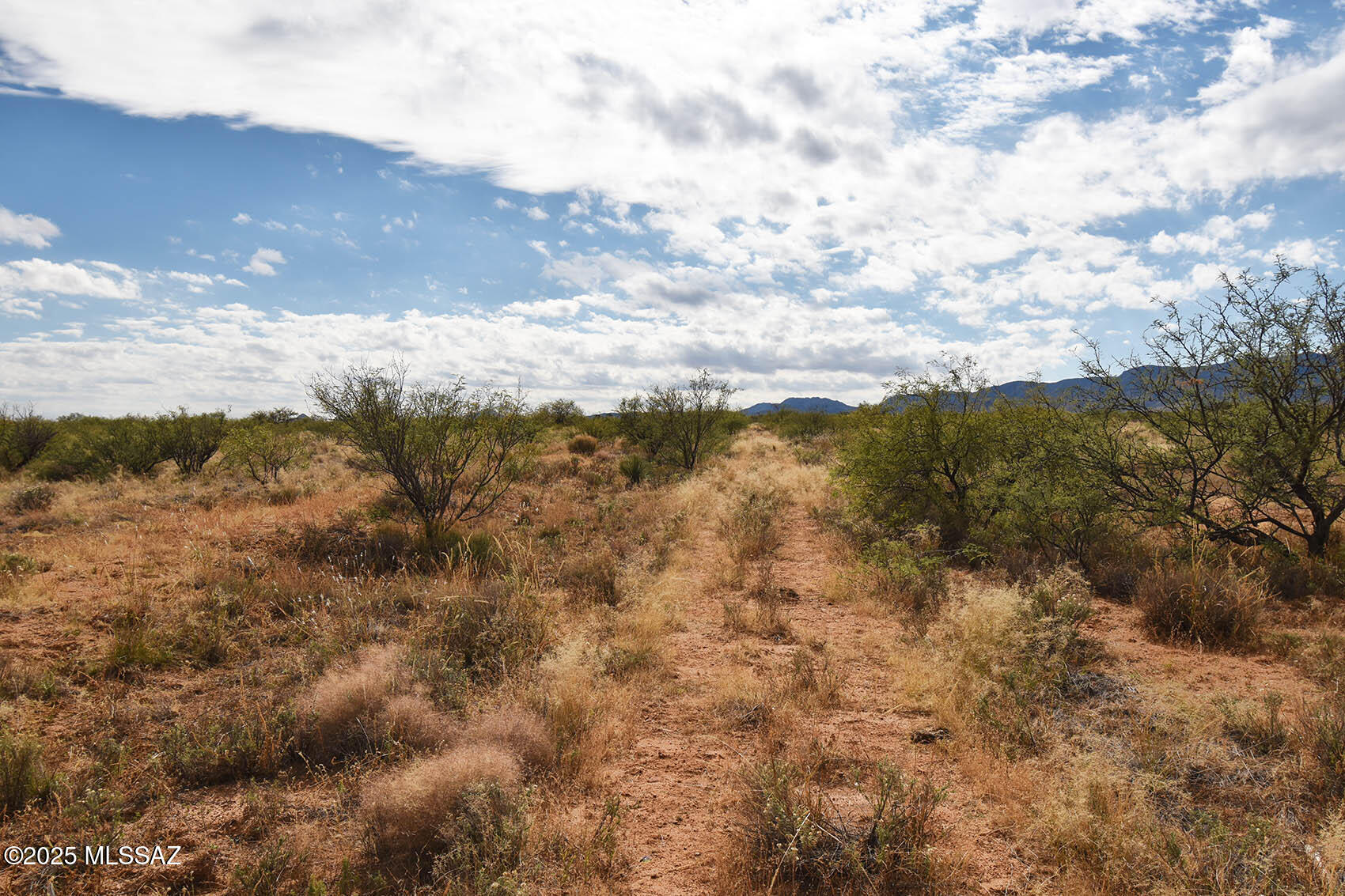 4-lots 4-lots Unnamed Road, Unit 456 Pearce, AZ 85625 - Photo 3 of 20