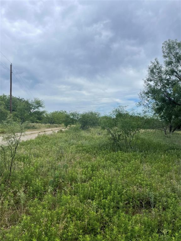 31.09-ac Hoefle Road Jacksboro, TX 76458 - Photo 25 of 33 a view of a big yard with plants and large trees