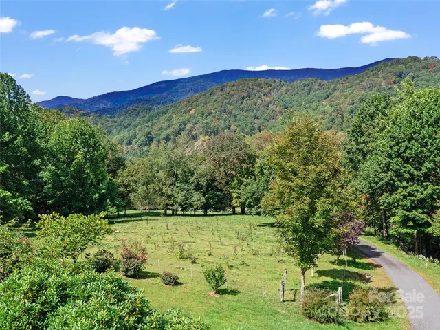 a view of a lush green forest with mountain