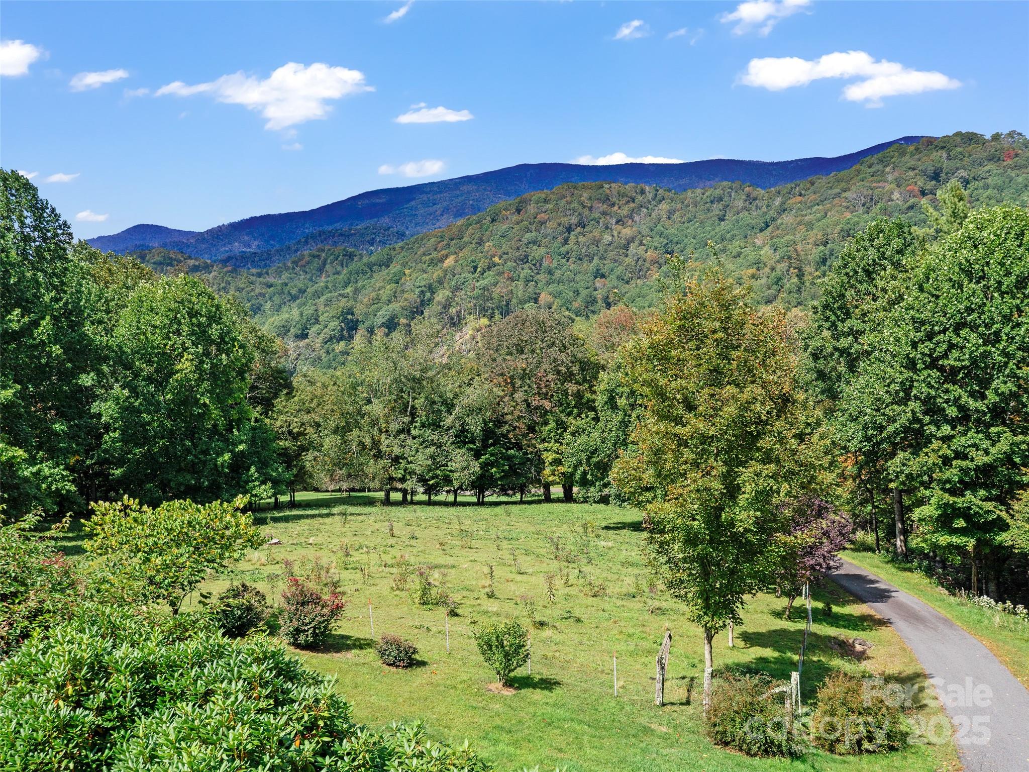 1992 Green Creek Road Bakersville, NC 28705 - Photo 37 of 48 a view of a lush green forest with mountain