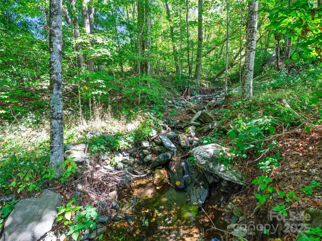 a backyard of a house with lots of plants