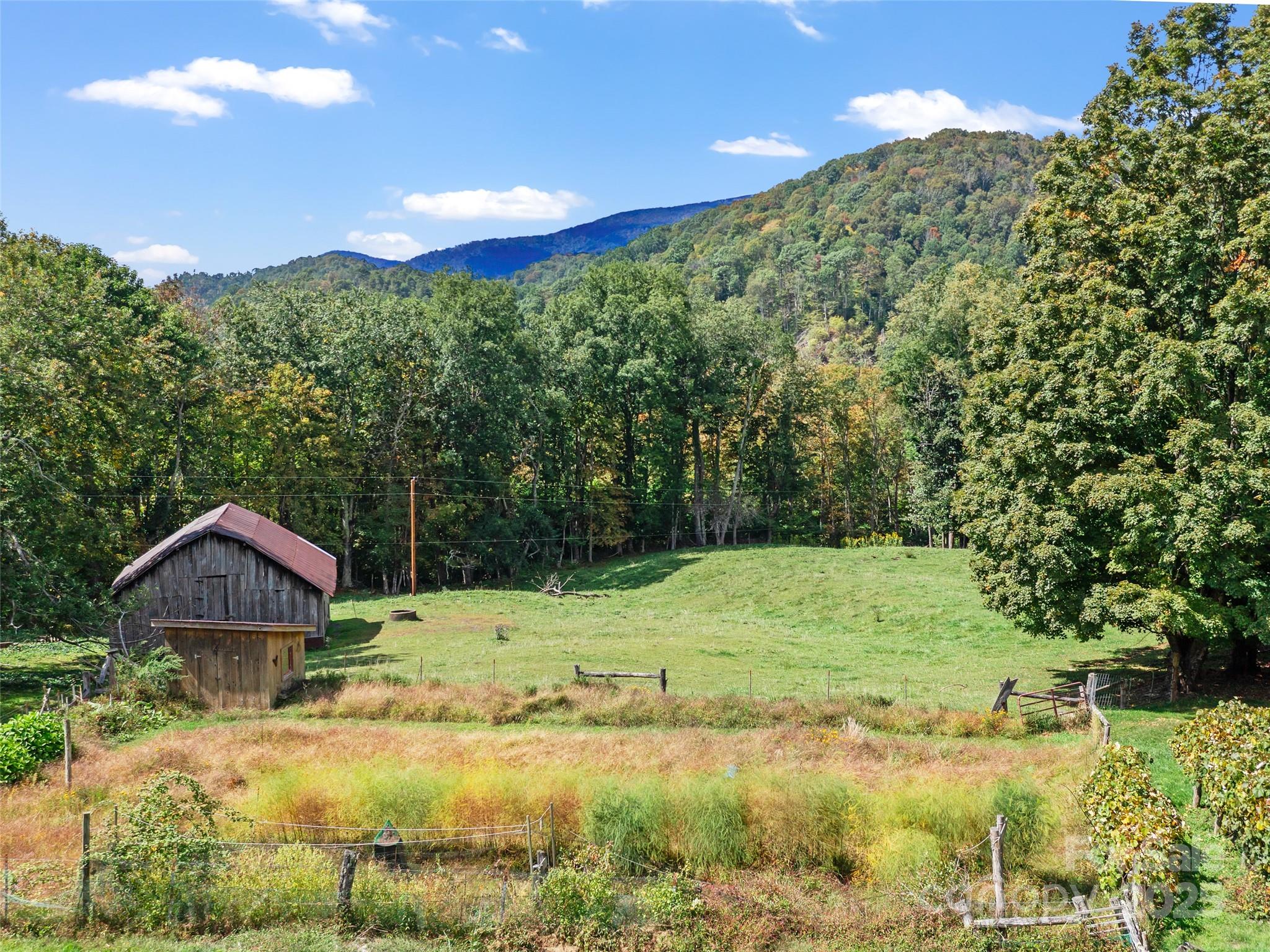 1992 Green Creek Road Bakersville, NC 28705 - Photo 42 of 48 a view of a yard with a house