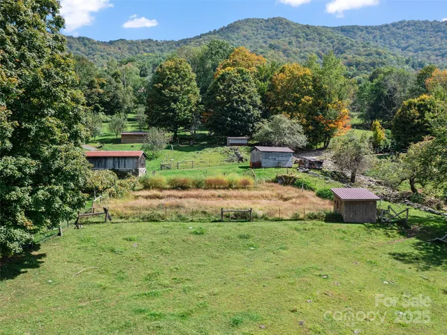 a view of a house with a yard and a large forest