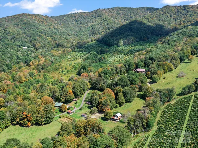 a view of a lush green forest with trees and houses