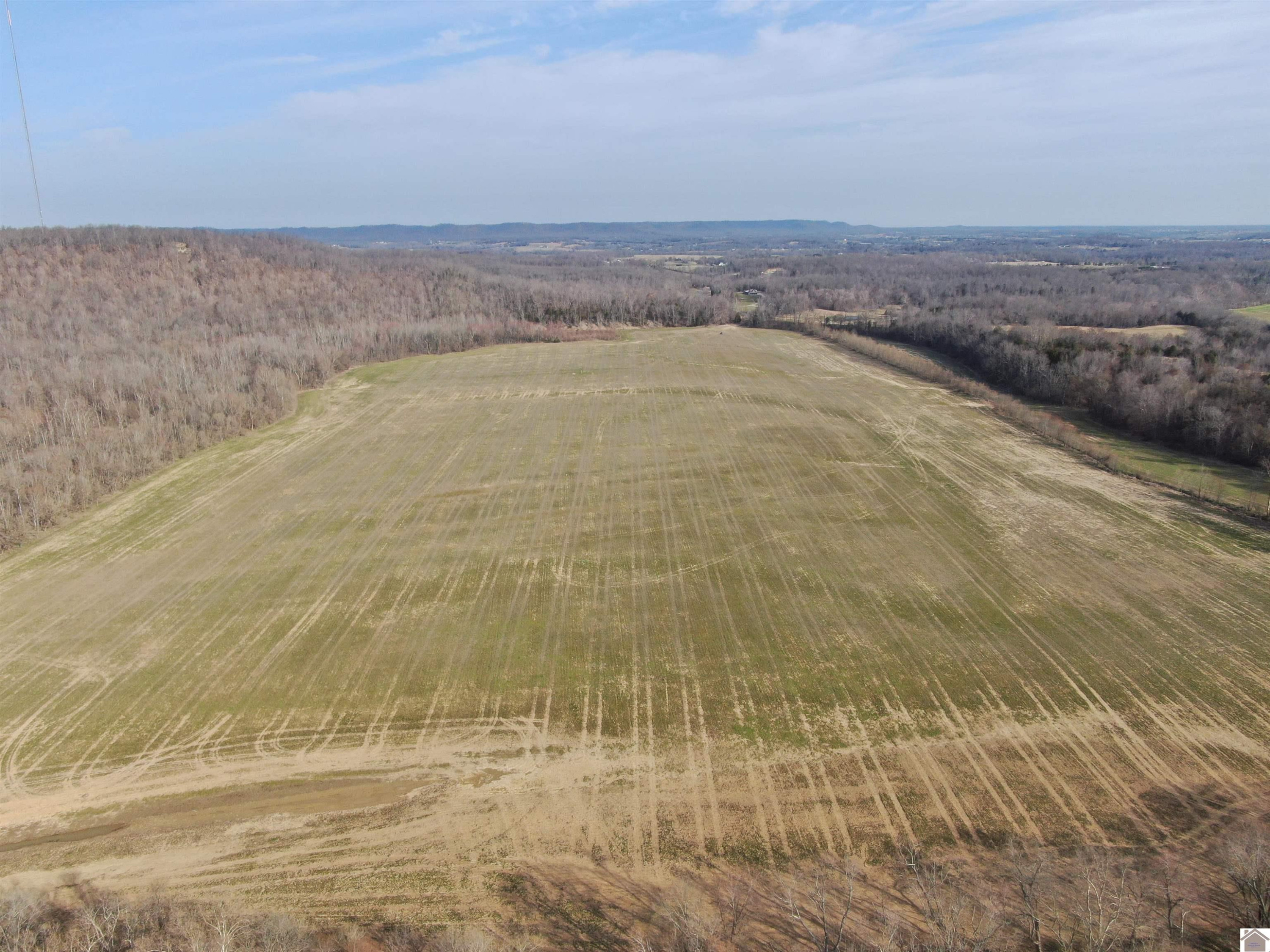 3100 Hwy 527/ Scott Ridge Road Raywick, KY 40060 - Photo 1 of 3 Photo 1