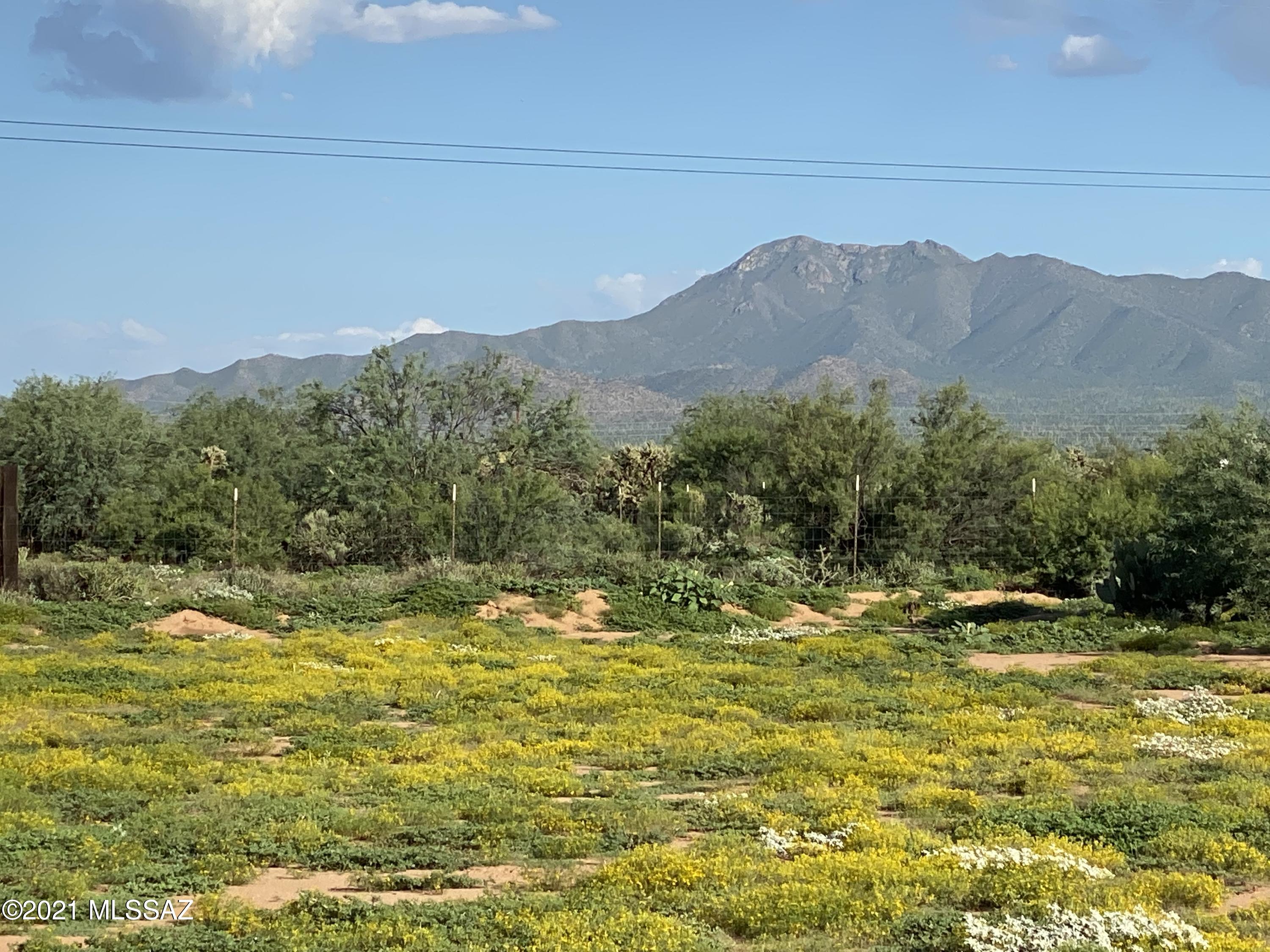 7475 North Avra Road Tucson, AZ 85743 - Photo 1 of 11 Gallery Image 1