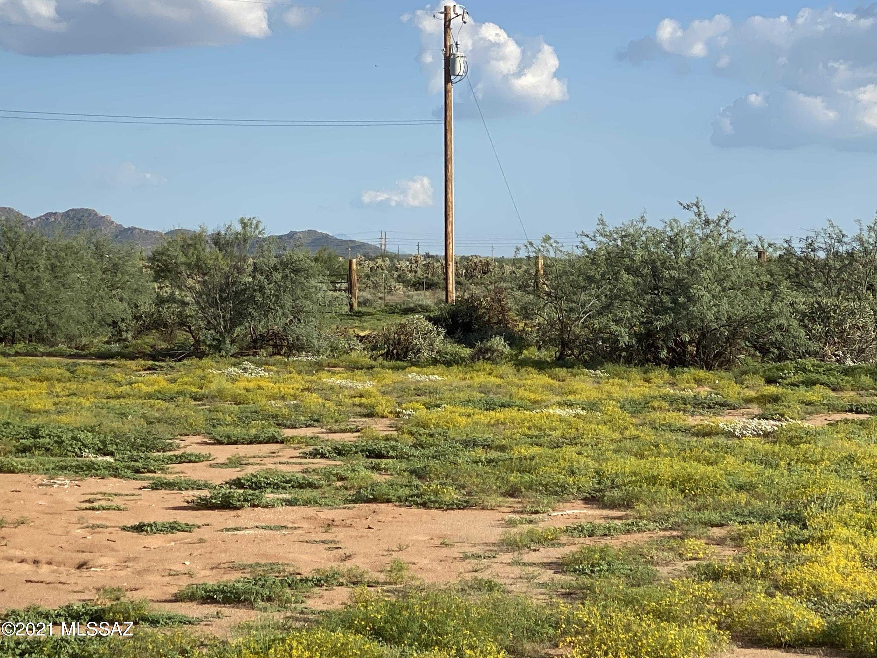 7475 North Avra Road Tucson, AZ 85743 - Photo 5 of 11 Gallery Image 5