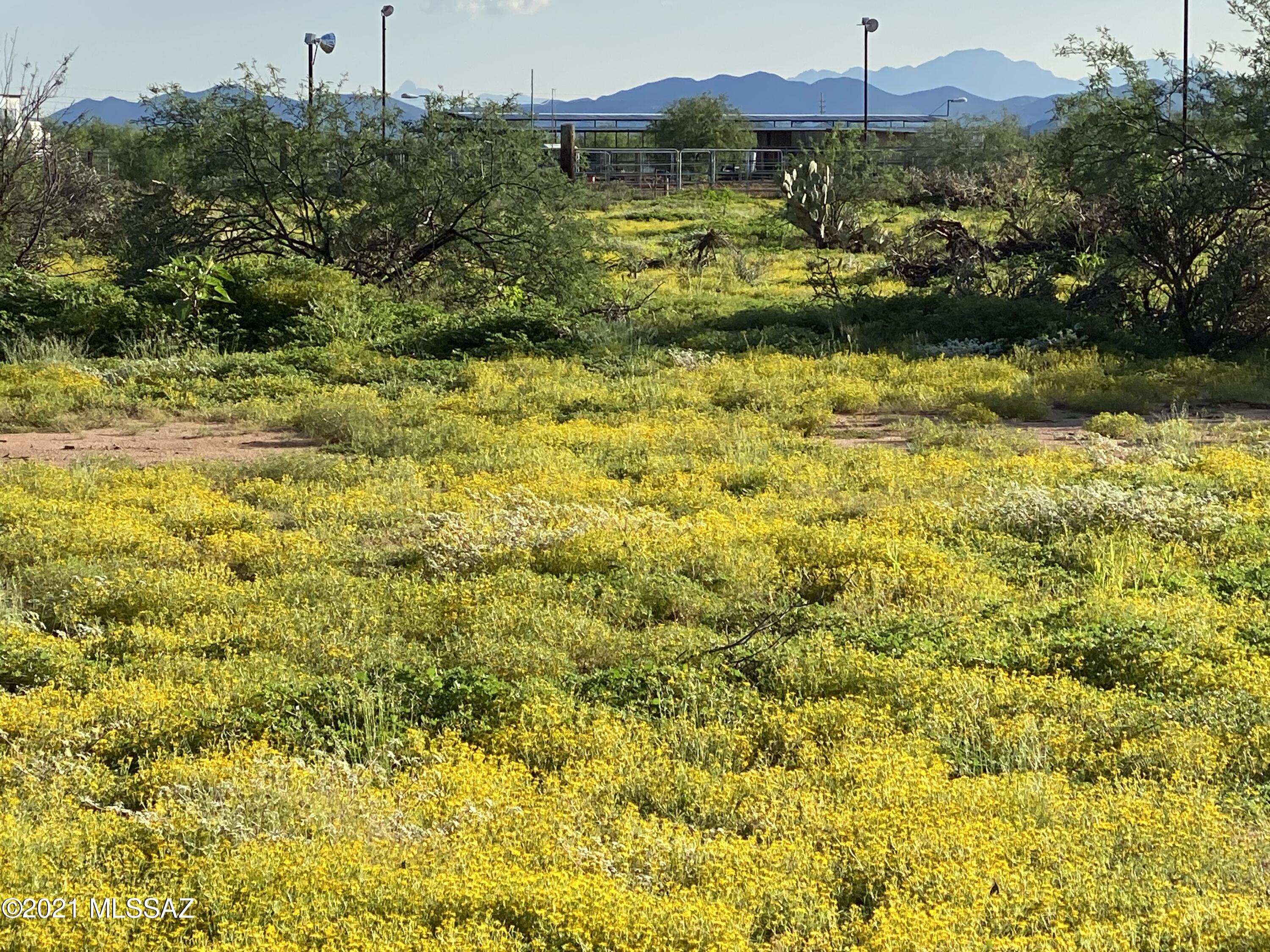 7475 North Avra Road Tucson, AZ 85743 - Photo 7 of 11 Gallery Image 7