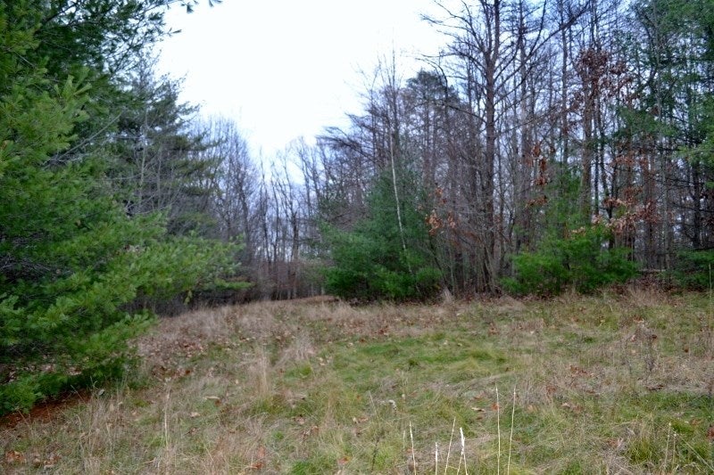 1809 Crayton Road Monroeton, PA 18832 - Photo 60 of 75 Gallery Image 60