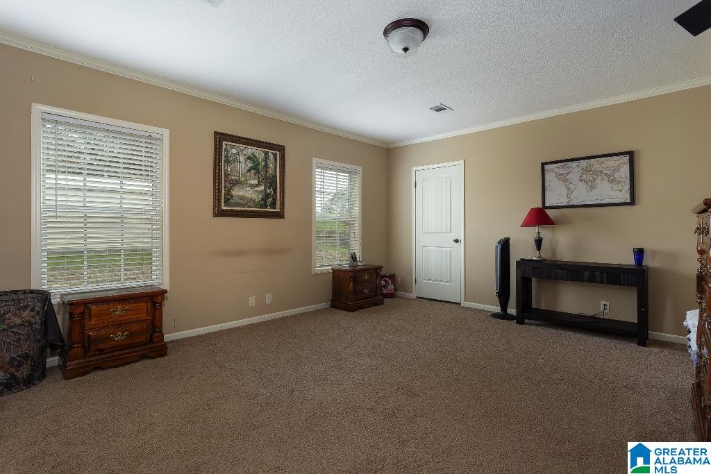 11420 Stemley Road Lincoln, AL 35096 - Photo 20 of 44