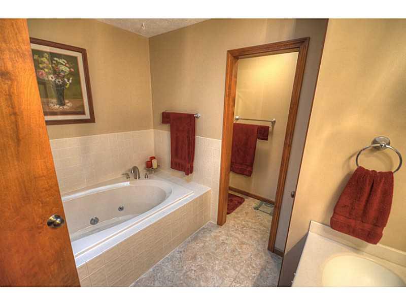 179 Cedar Ridge Drive Monaca, PA 15061 - Photo 16 of 24 Master Bath/Spa.